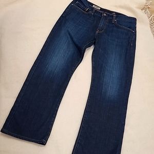 AG ADRIANO GOLDSCHMIED The Protege Straight Leg Jeans NEW SIZE 33×32